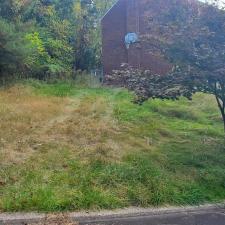 Detailed-landscaping-clean-up-in-Pittsburgh-Pa 4